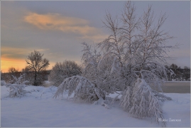 <p>Šluknov</p>